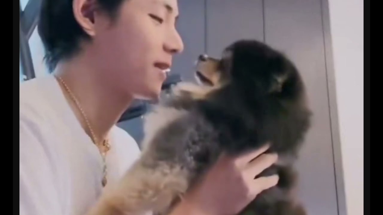 【ヨンタンとテテの物語】