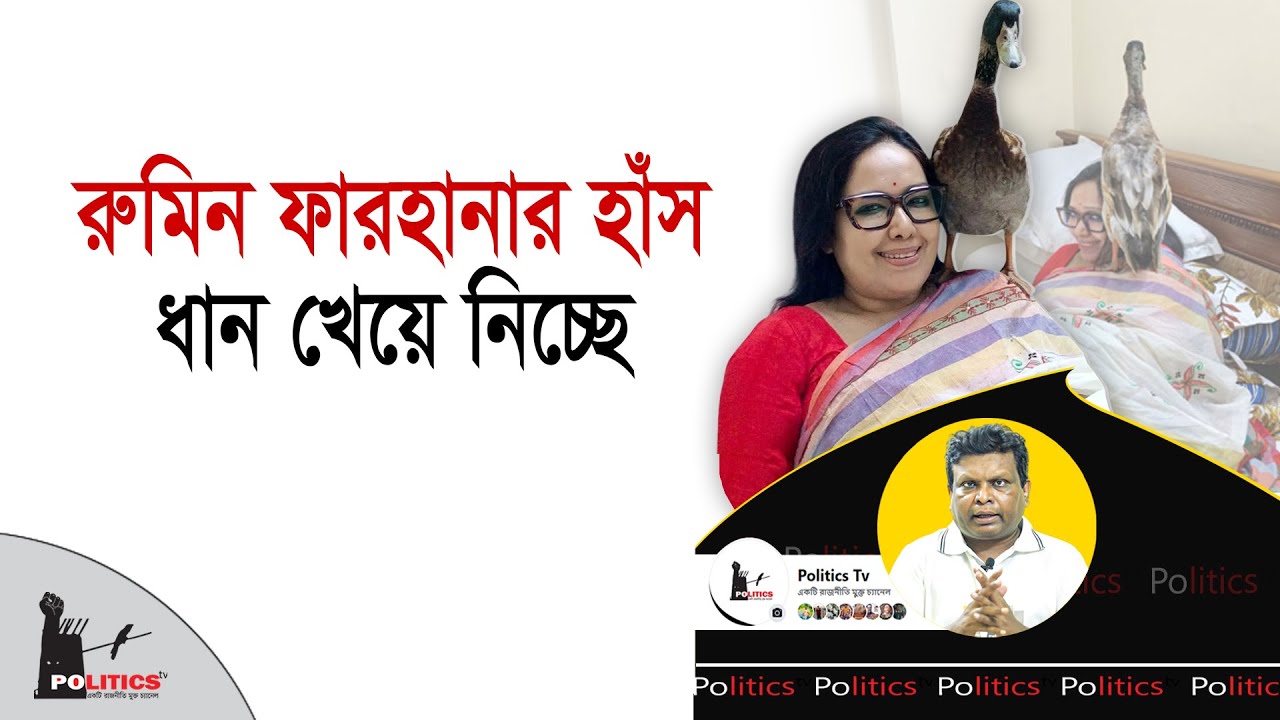 রুমিন ফারহানার হাঁস ধান খেয়ে নিচ্ছে | Rumeen Farhana | BNP | Politics Tv