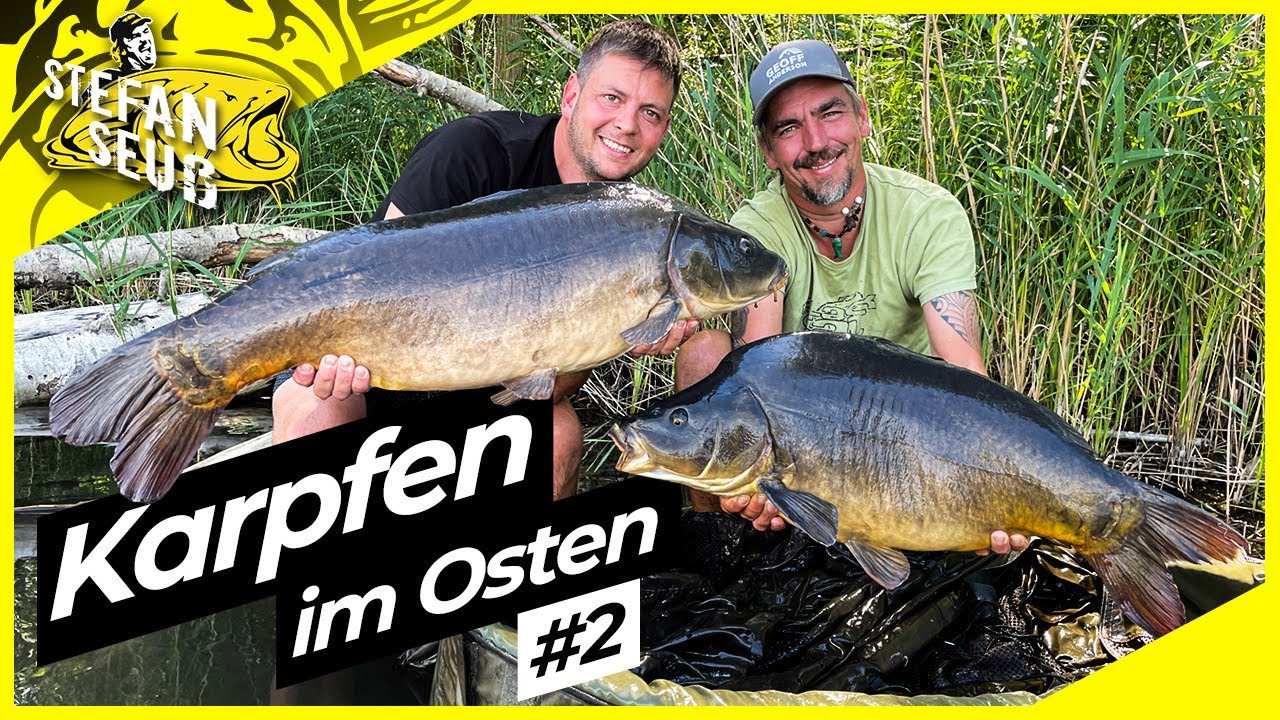 KARPFEN im OSTEN #2 | Fangrausch bei HITZE | Karpfenangeln am neuen SEE