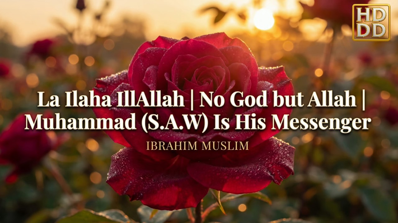 Muslim - La ilaha illAllah | No God but Allah, Muhammad (ﷺ ﷺ ﷺ ﷺ ﷺ ﷺ ﷺ ﷺ ﷺ ﷺ ﷺ) is His messenger. ᴴᴰ