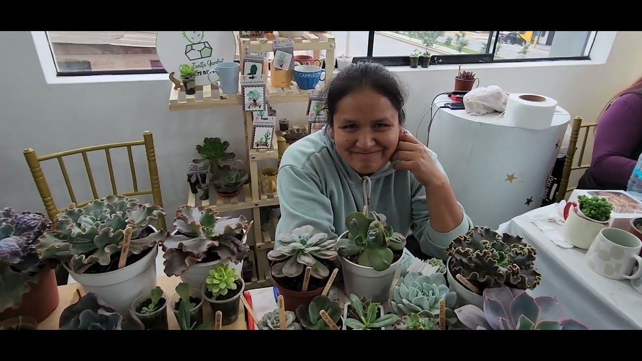 feria de cactus y suculentas en lima Perú (feria munay tikay