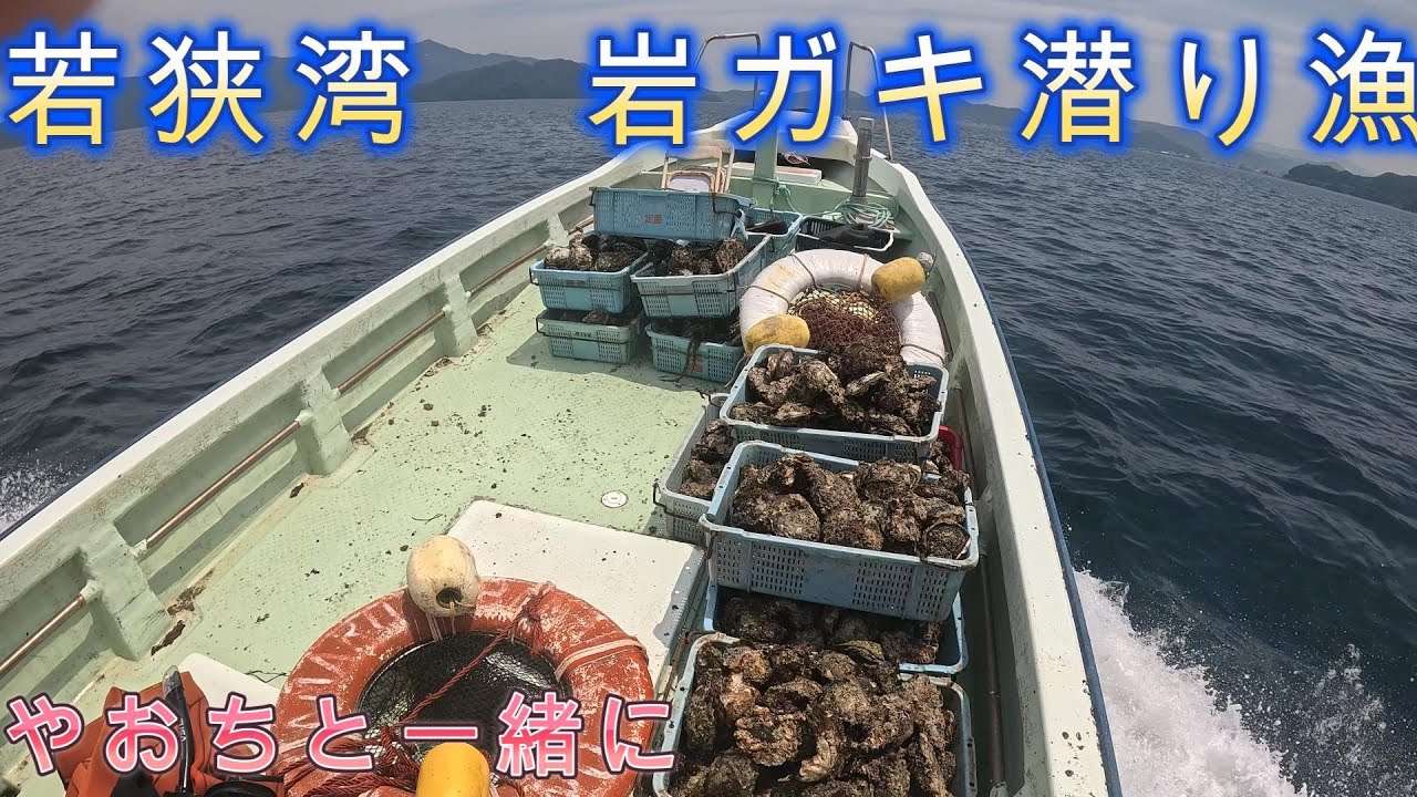 解禁!!岩ガキ潜り漁[俺視点]　若狭湾　#漁師