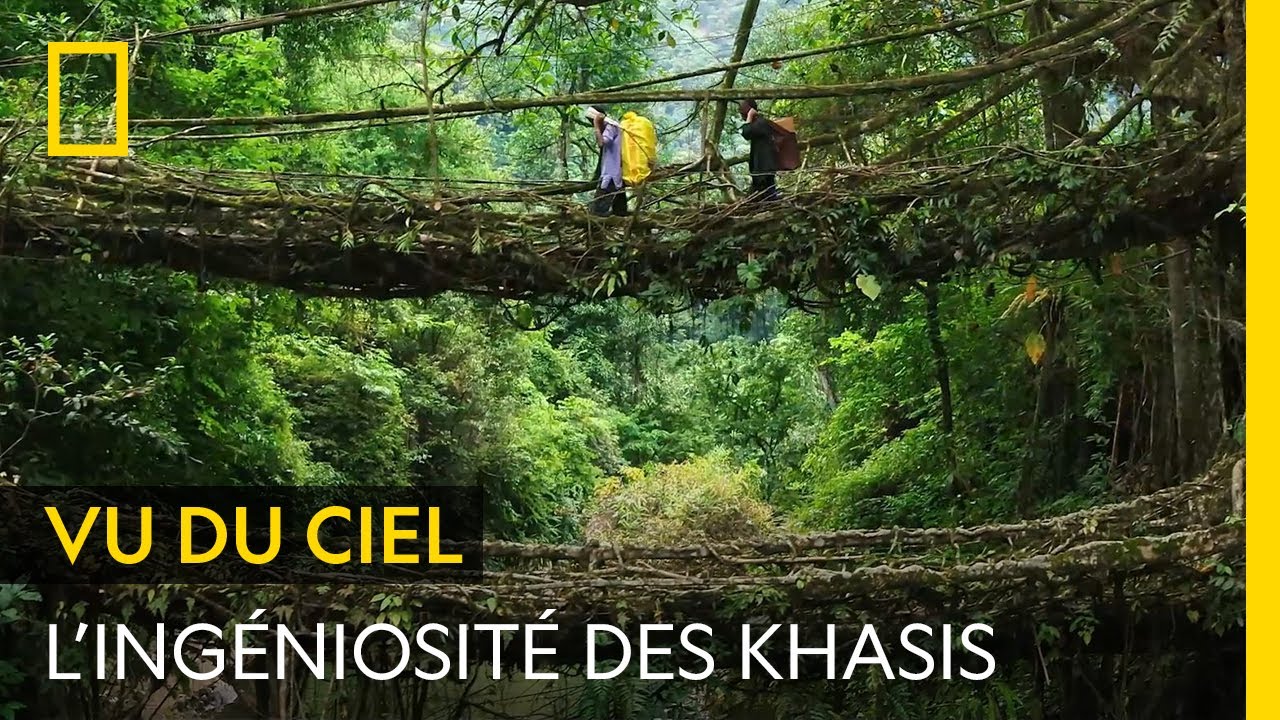 Les Khasis, le peuple indigène qui subsiste grâce aux ponts de racines