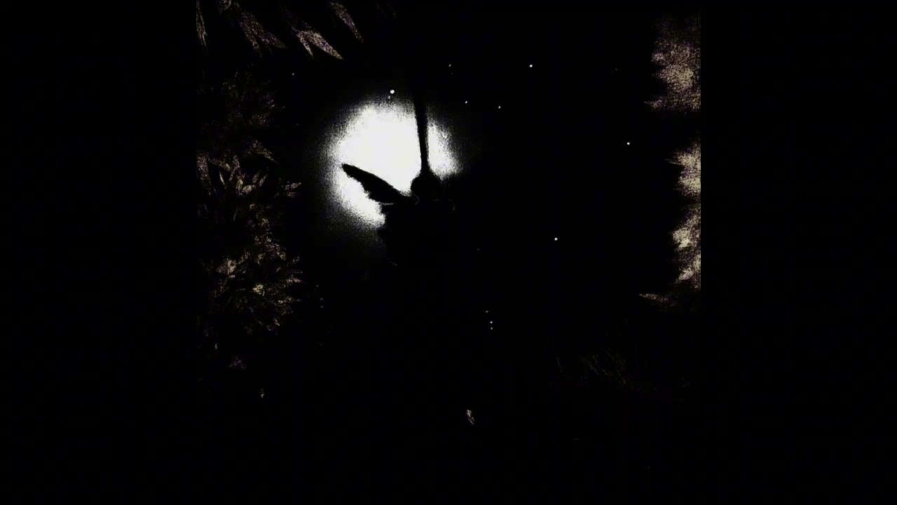 𝚟𝚊𝚗𝚒𝚝𝚢 | 𝙼𝙴𝙶𝙰 𝚂𝙻𝙾𝚆𝙴𝙳