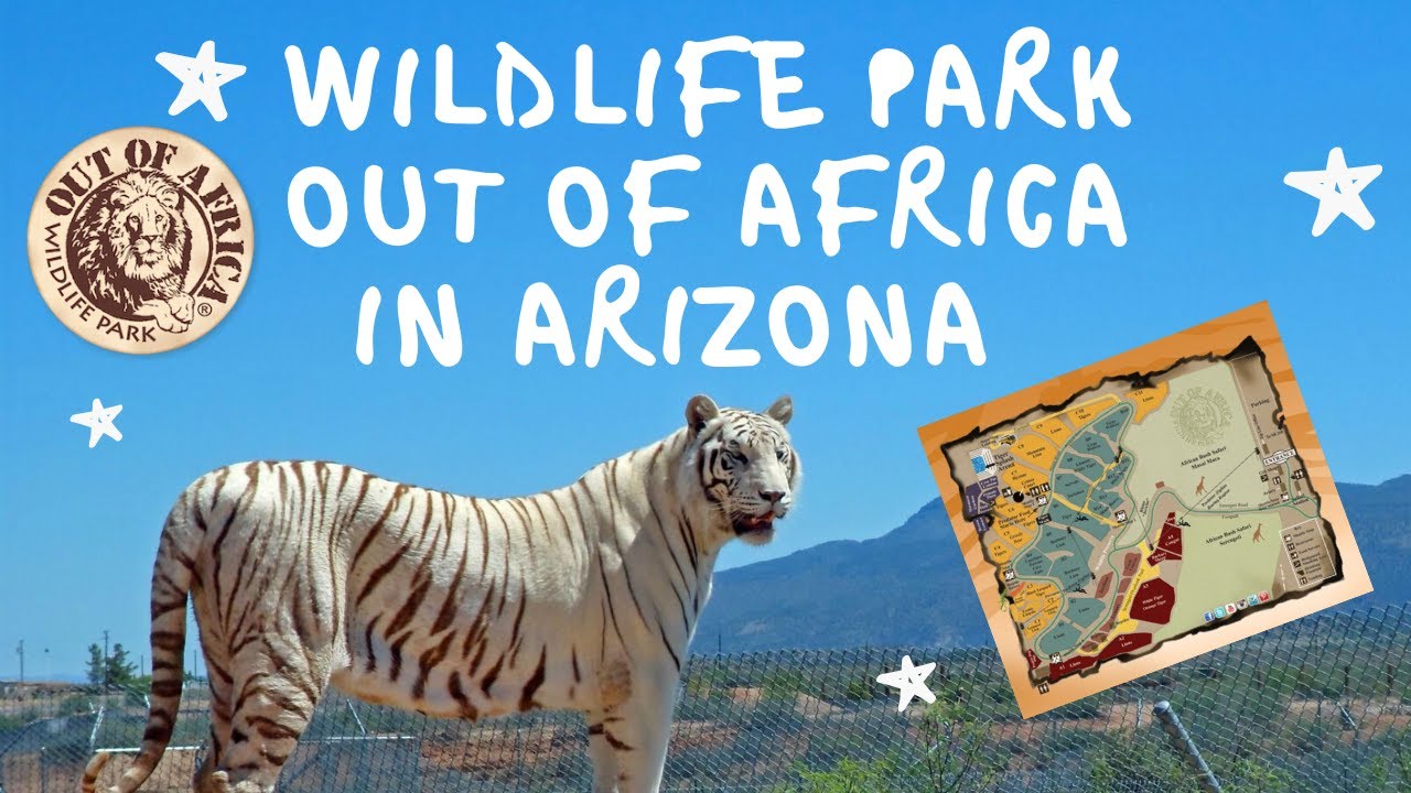 Wildlife Park in Arizona | Out Of Africa