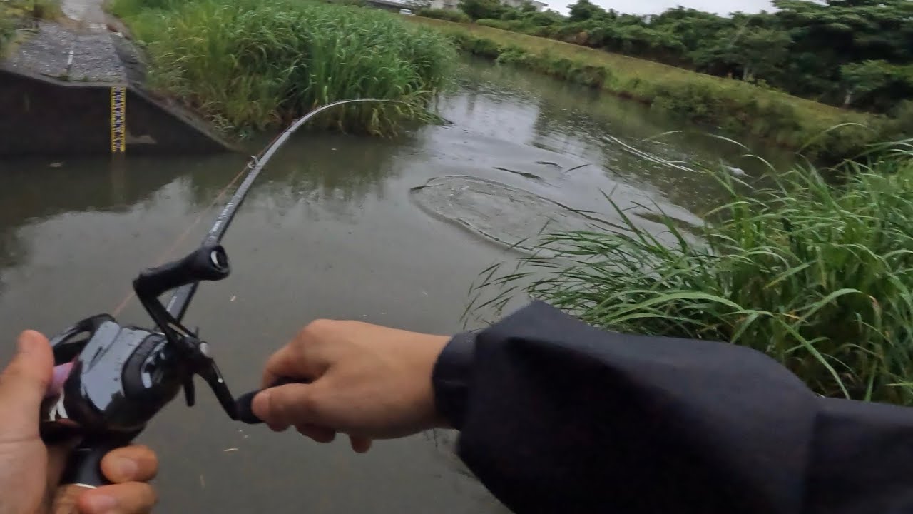 ボイルにルアー投げたら1投で...
