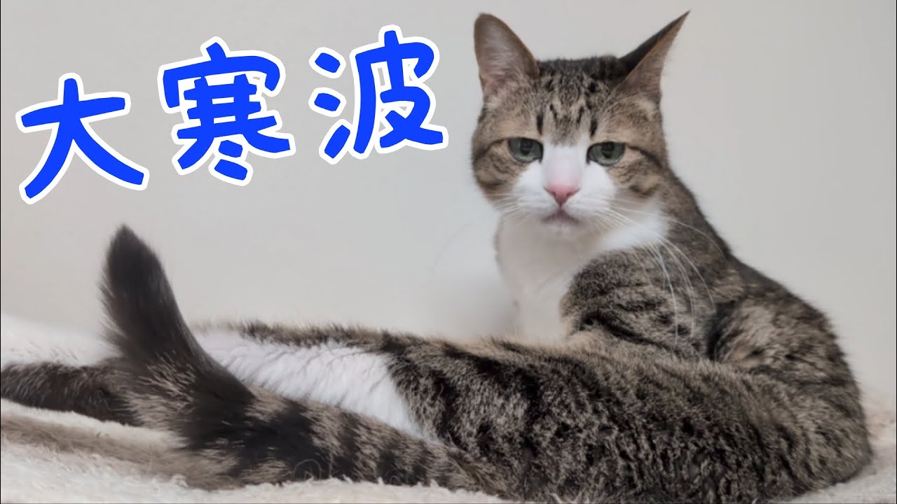 最強で最長の寒波到来！ vol.1502