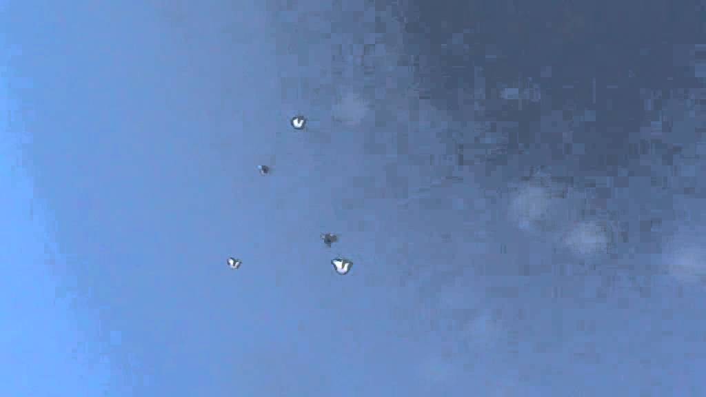 M2U00337