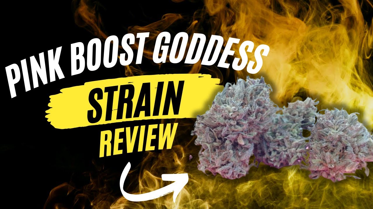 The Truth About THCv (diet weed?) - Pink Boost Goddess Review