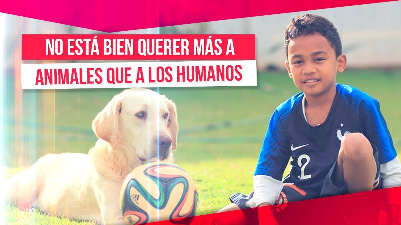 Si quieres más a los animales que a los humanos, tenemos un problema | Noticias con Zea