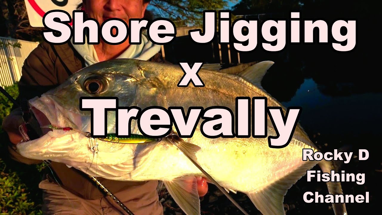 gold coast canal Trevally  GT shore Jigging　Vol 238