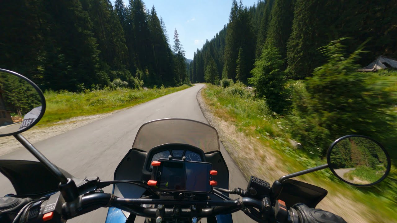 POV | Pine Forest Ride | HONDA TRANSALP [4K]
