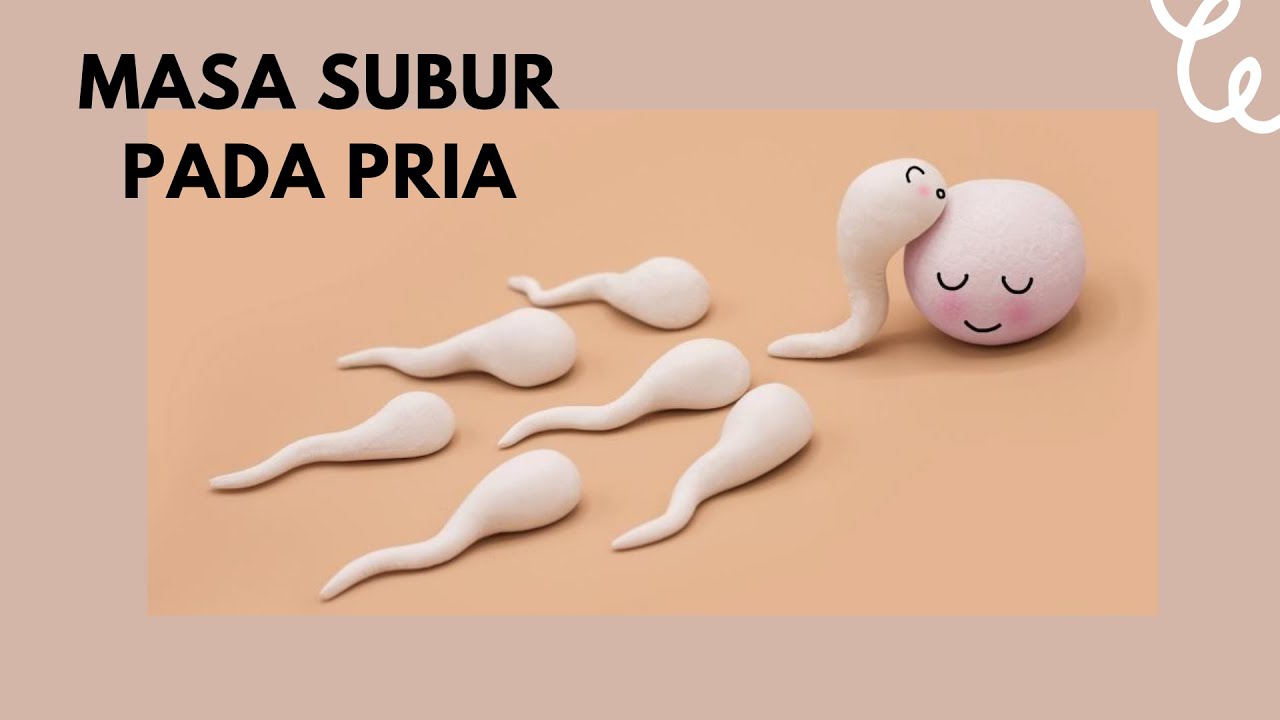 Masa Subur Pada Pria - Polthrus Tips