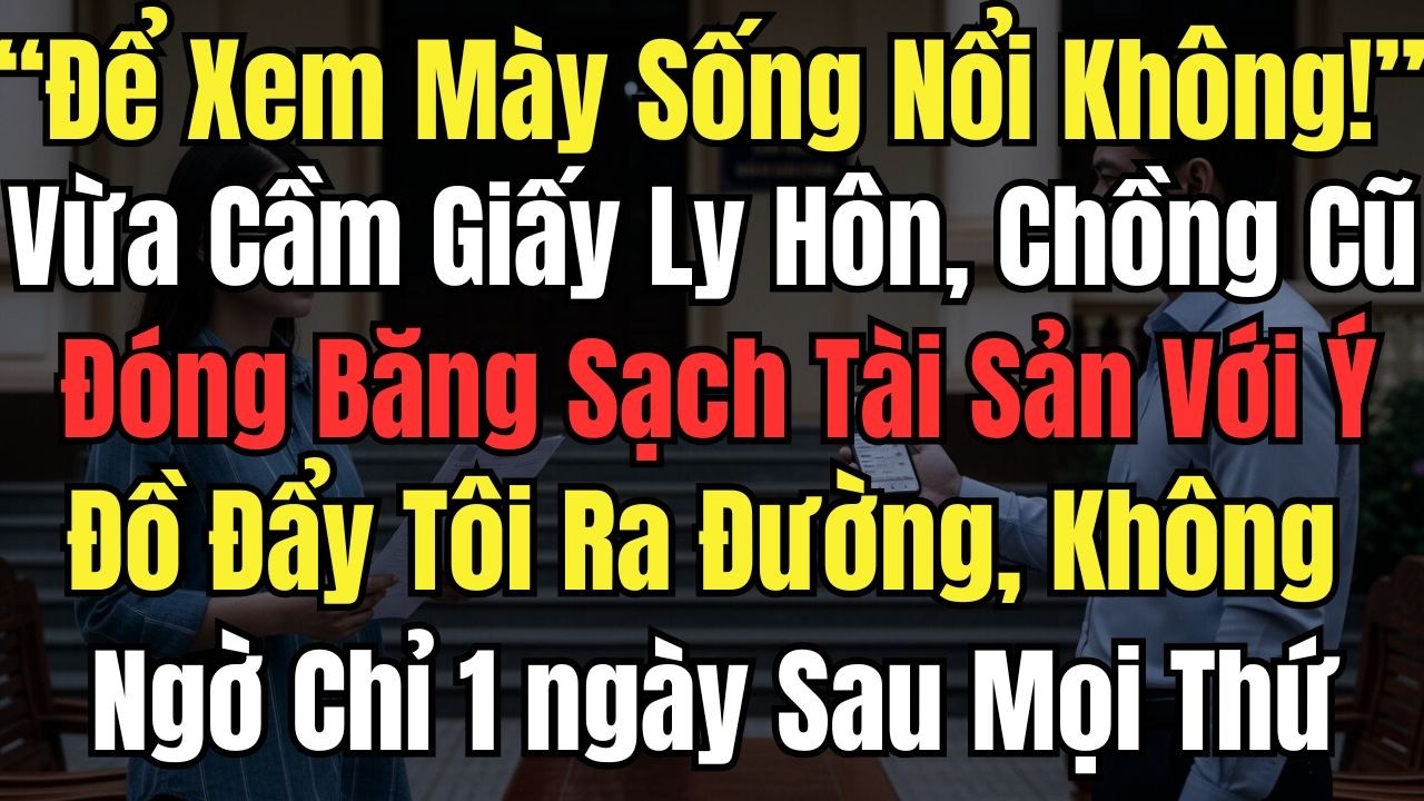 “Để Xem Mày Sống Nổi Không!” Vừa Cầm Giấy Ly Hôn, Chồng Cũ Đóng Băng Sạch Tài Sản Tôi, Không Ngờ Chỉ