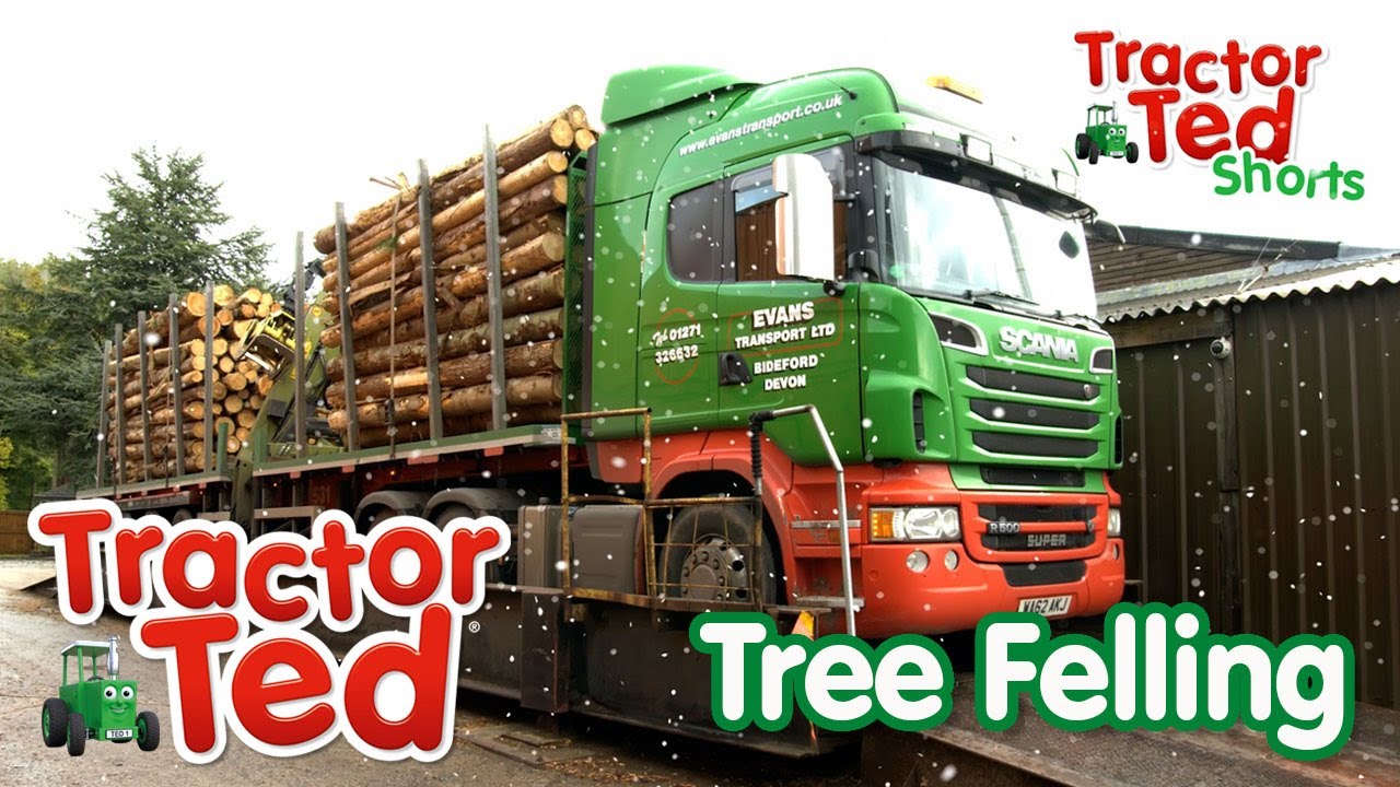 Tree Felling in the Snow ❄️🌲 | Tractor Ted Shorts | Tractor Ted Official Channel