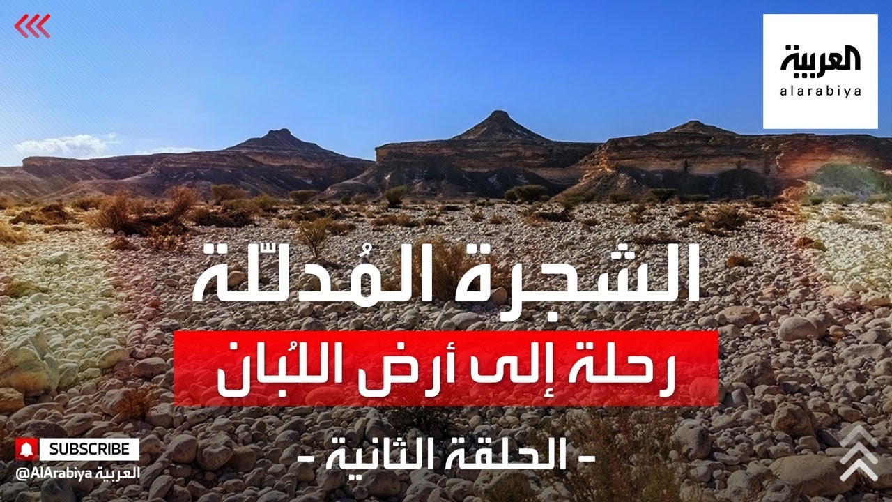 الشجرة المدللة - رحلة إلى أرض اللبان الحلقة الثالثة