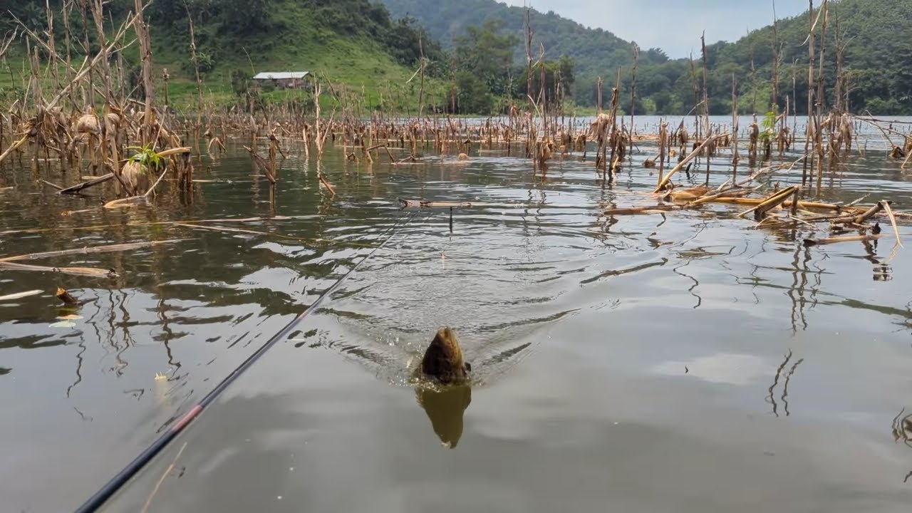 Mancing di Waduk Malahayu di Spot Karacak Batu Budug – Ep.38