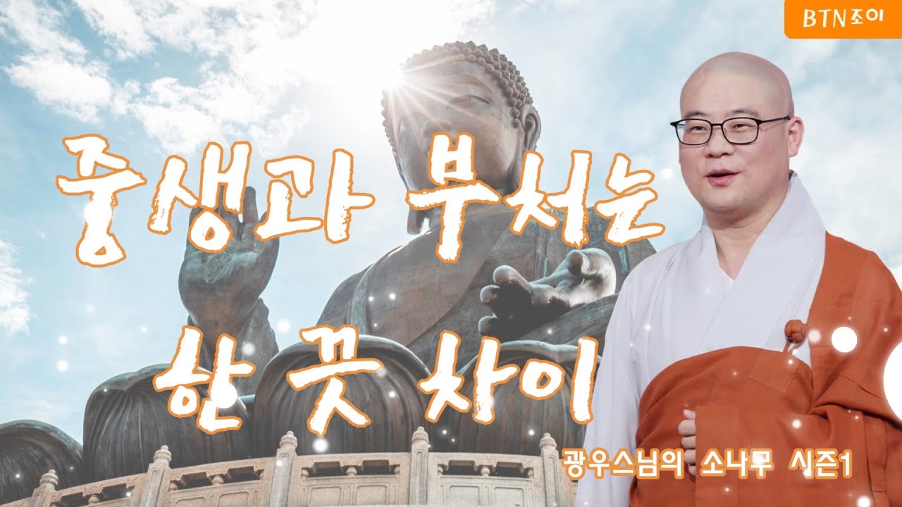 6회 중생과 부처는 한 끗 차이! 무엇때문에?..ㅣ광우스님의 소나무 시즌1