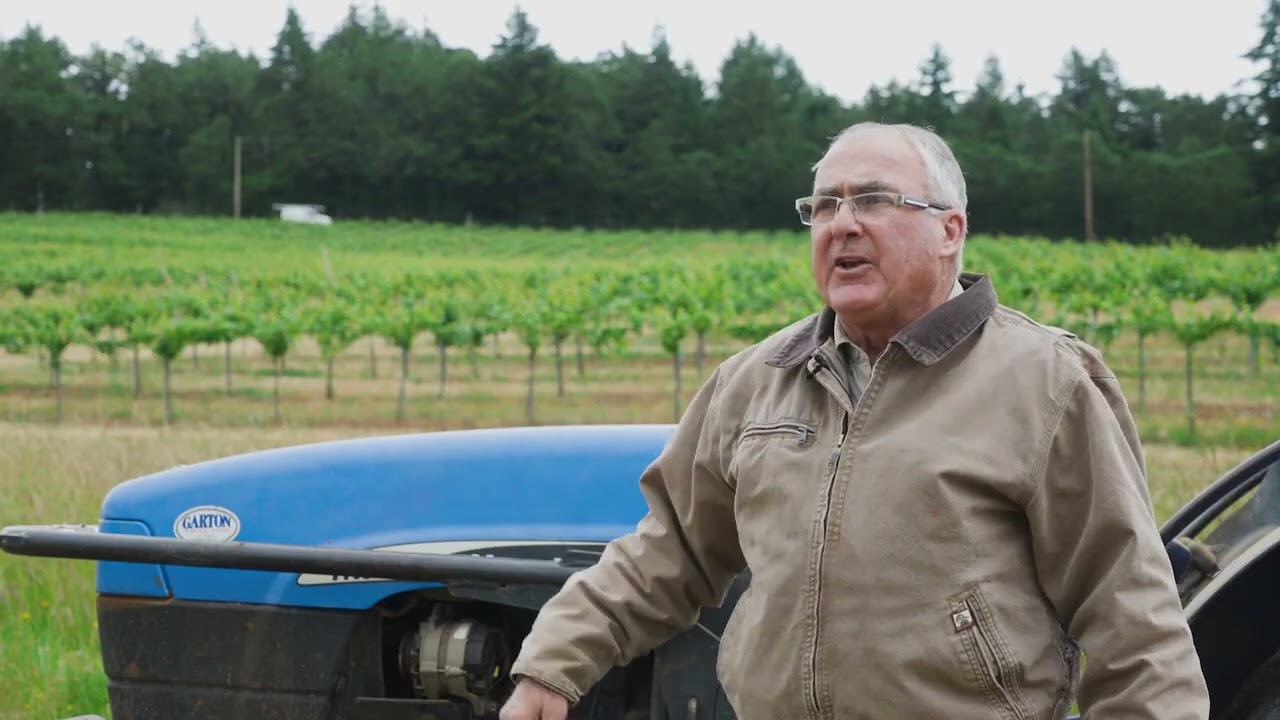 Wake Robin Vineyard Dallas, Oregon