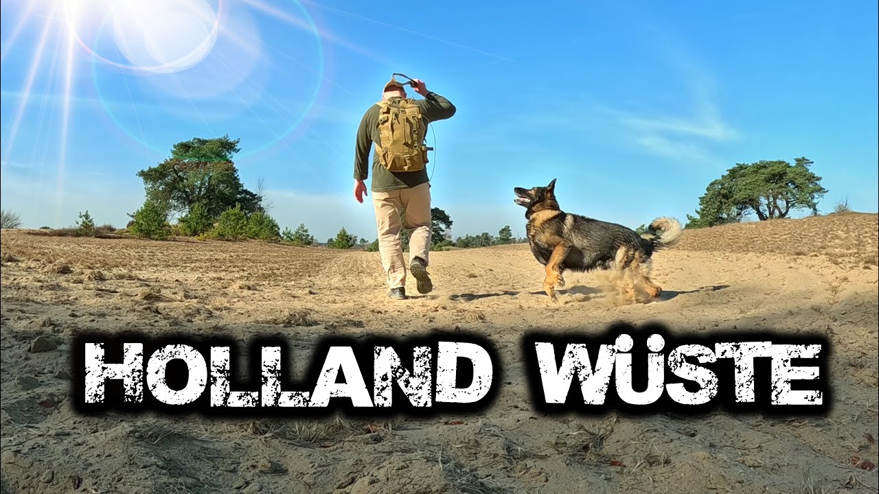 In der LETZTEN WÜSTE von HOLLAND