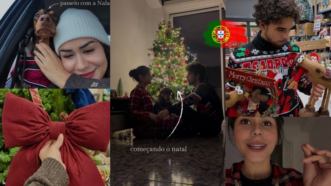 Nossa primeira árvore de Natal | Passeio com a Nala ✨