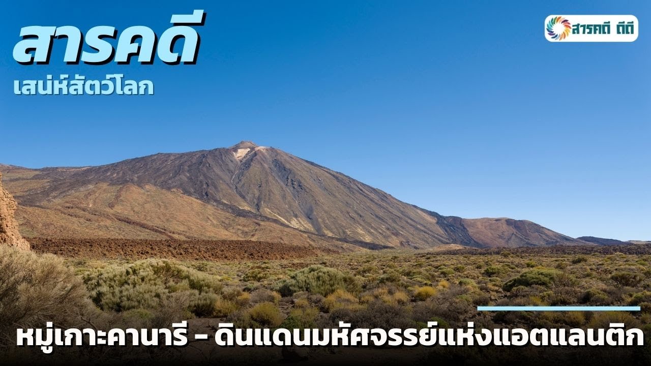 สารคดี เสน่ห์สัตว์โลก : หมู่เกาะคานารี - ดินแดนมหัศจรรย์แห่งแอตแลนติก