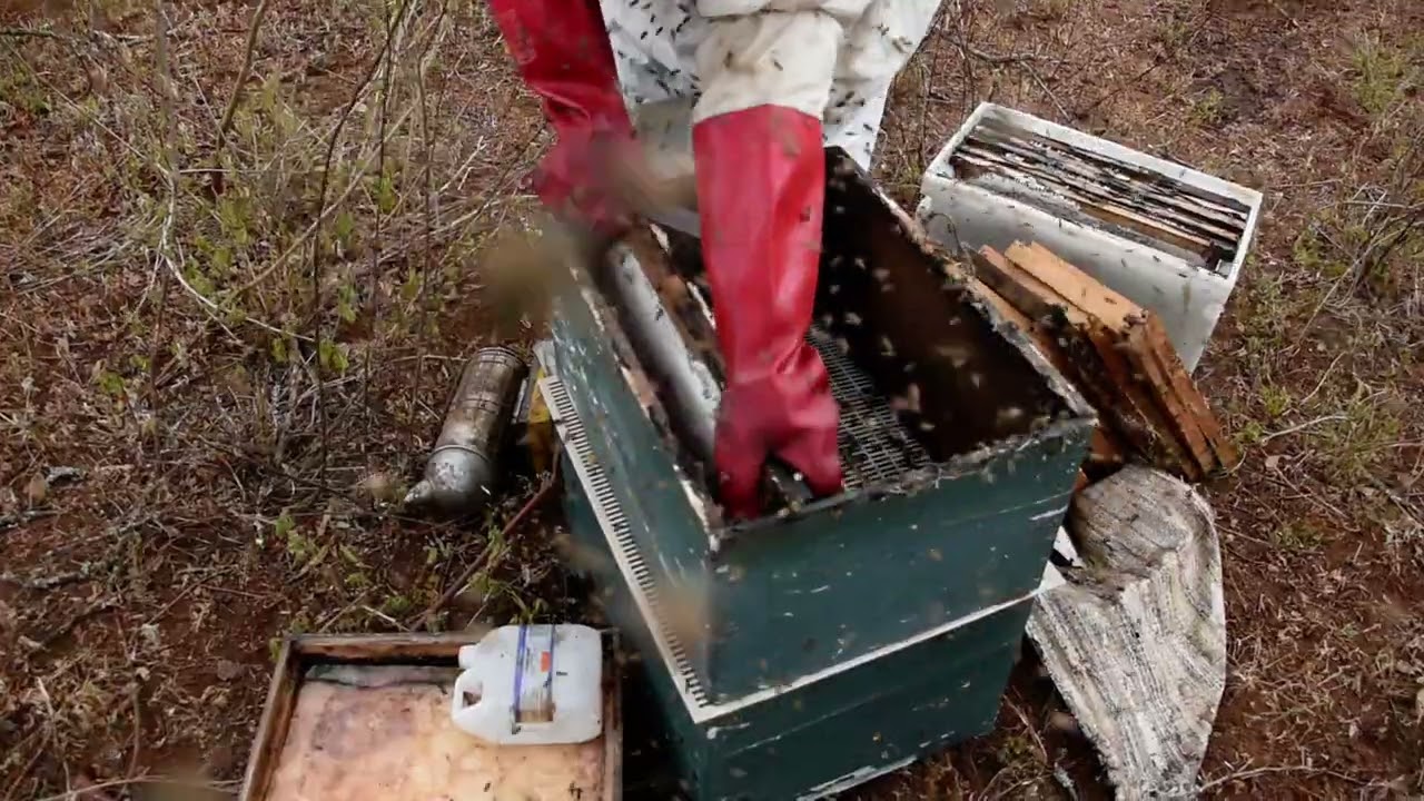 African bee keepers