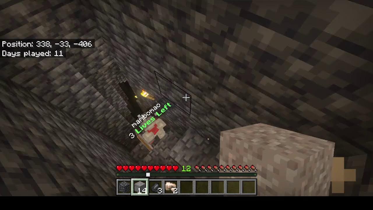 3 Lives survival with friend (Reset)