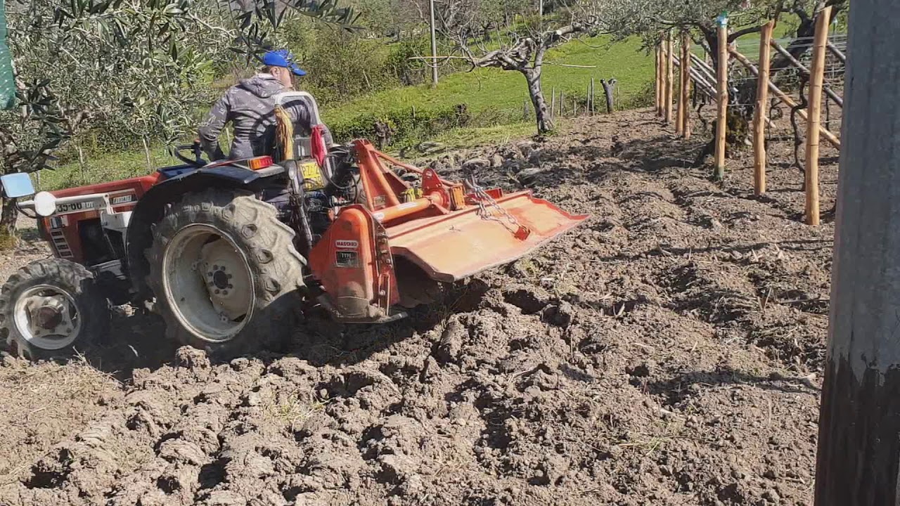 Fresatura/Preparazione terreno con [FIATAGRI 36-66dt & fresa Maschio]