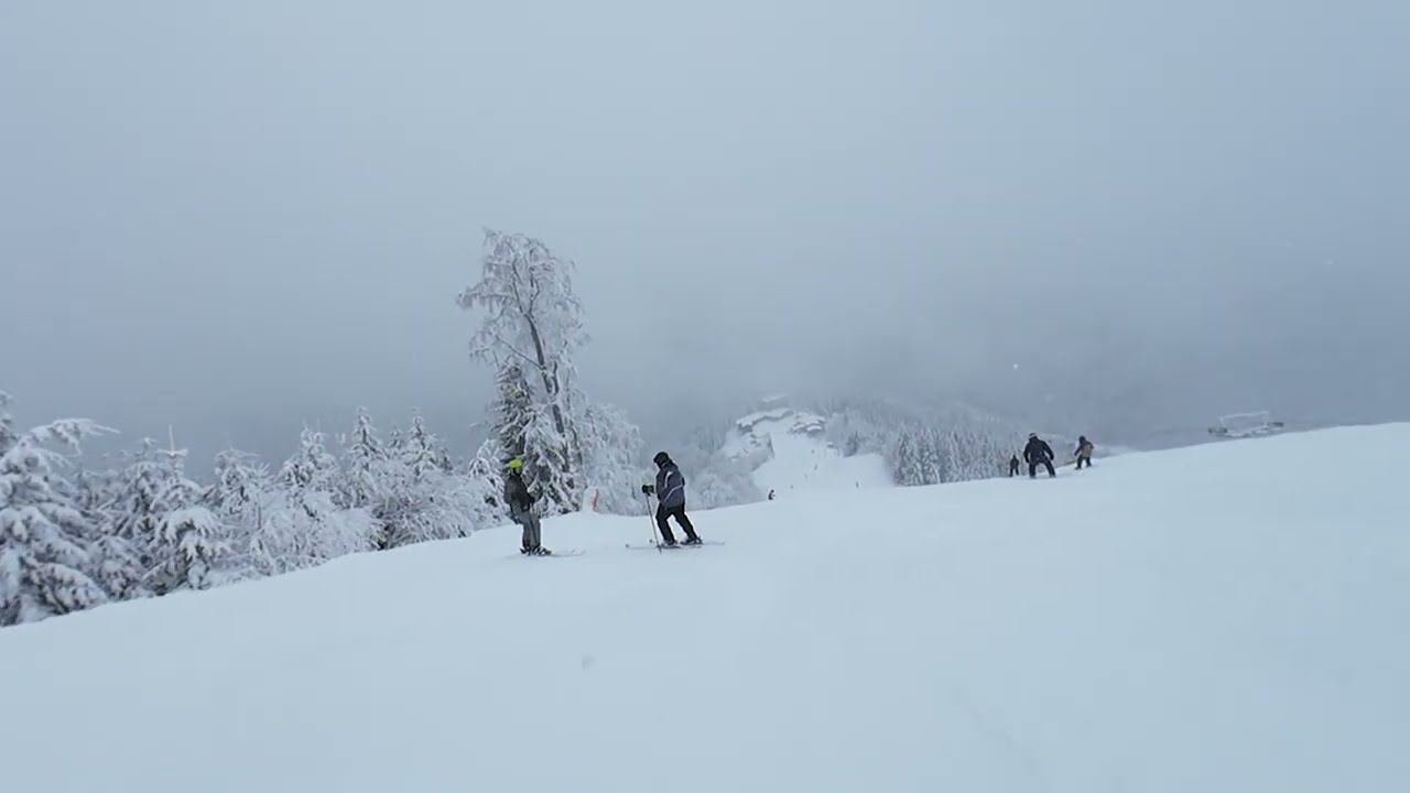 SKI JASNA CHOPOK  TRACKS 31 36, 31, 34