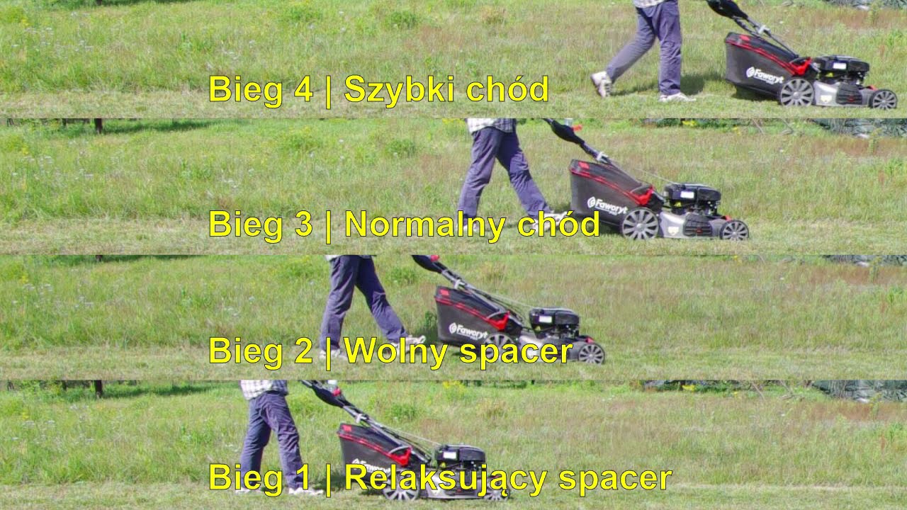 Wykasza wszystko - Kosiarka Faworyt Pro | Dobry wybór na dużą działkę zamiast traktorka