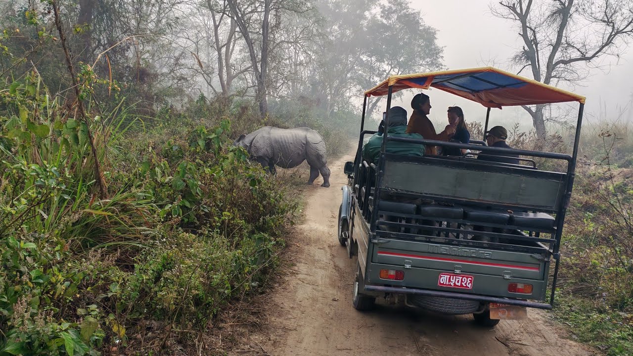 Chitwan National Park 🇳🇵 🇳🇵#chitwannationalpark #NewGalaxySchool #tourism #Excursion #drramjisharma 