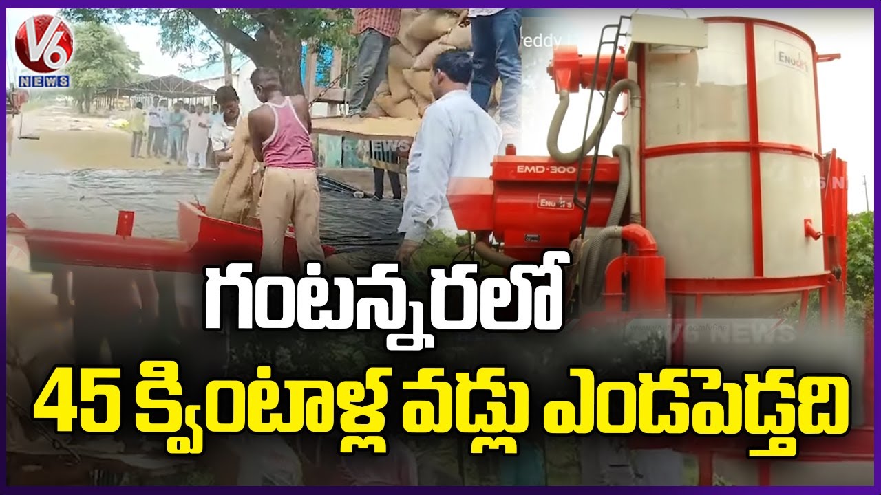 Paddy Grains Dryer Machine | Reducing Moisture Content Of Paddy | Sangareddy | V6 News