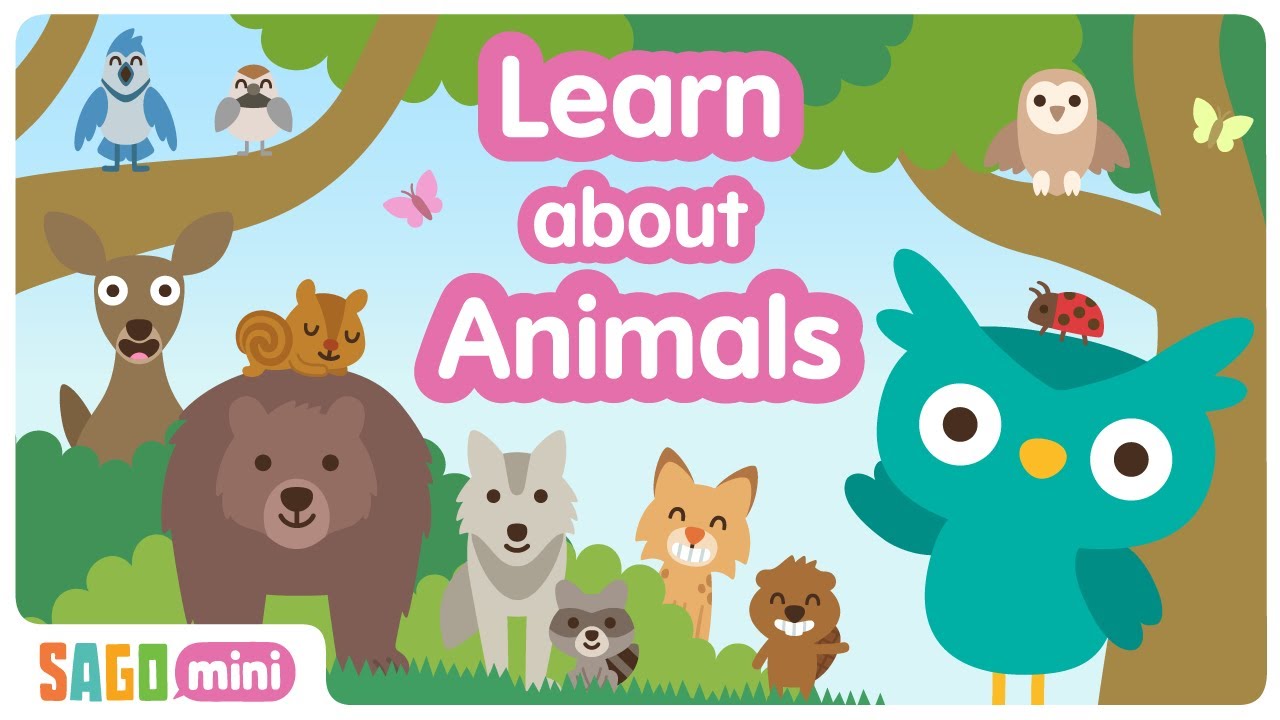 🐾 Sago Mini Animal Mega Mix! | Bugs, Zoo, Oceans, Birds and more 🐞🦁