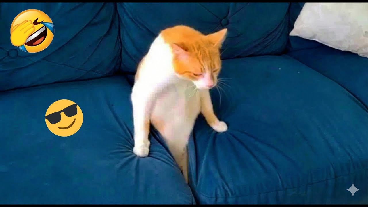 You Laugh You Lose 🤣 Funniest Cats and Dogs 2026 😻🤎 Part 20