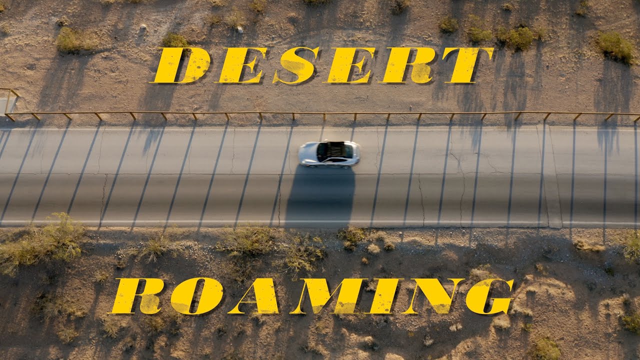 Desert Roaming (996 C4S)