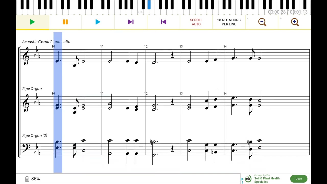 Jesus of Nazareth, Savior and King (alto)