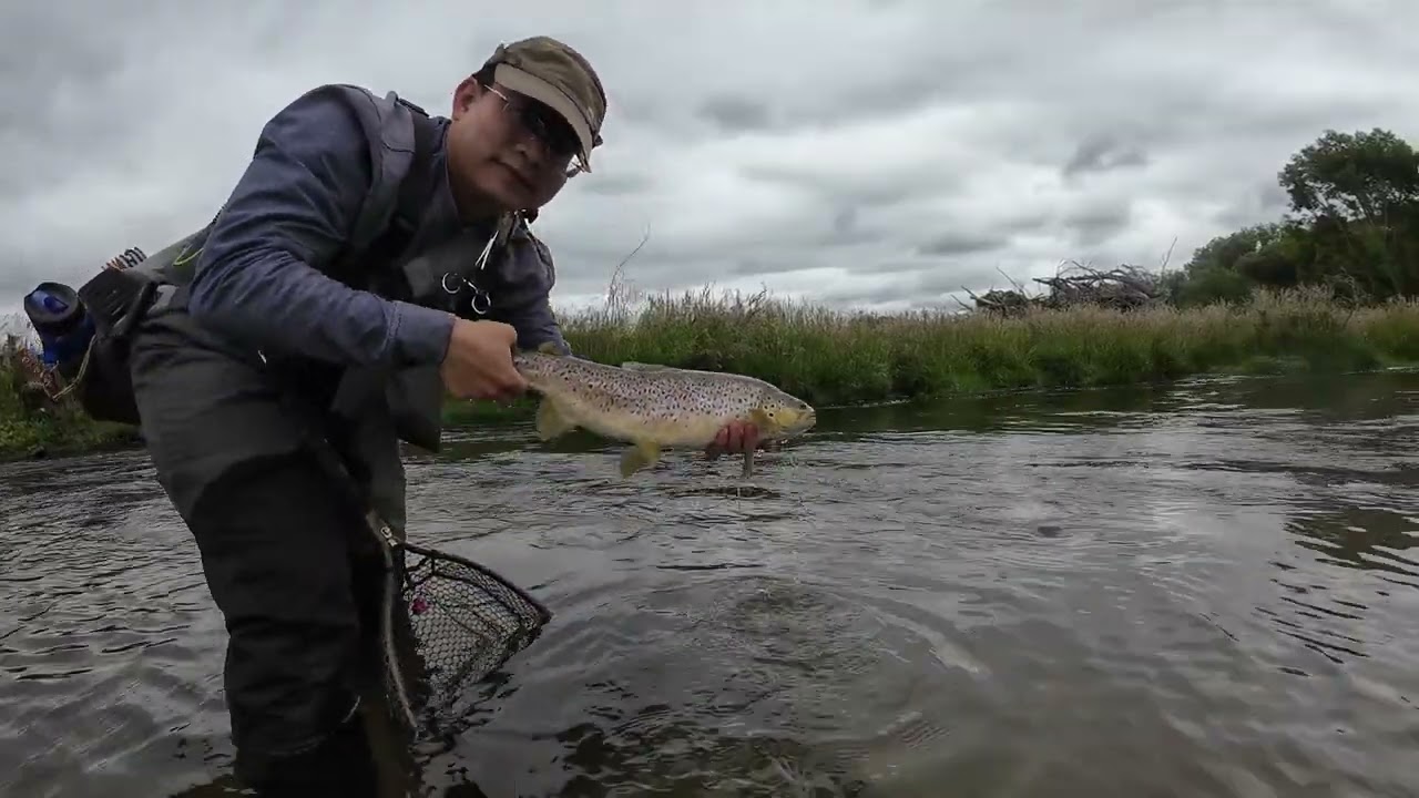 Mackenzie Country (Twizel) Fly Fishing Magic - 2025 New Year Special