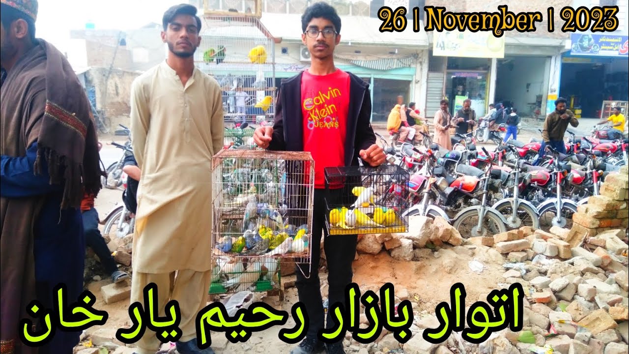 Rahim Yar Khan Sunday Birds market Latest updates 26 - November - 2023