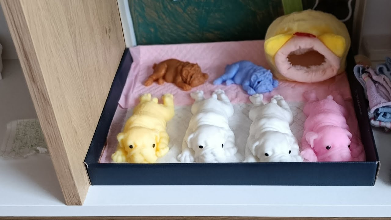 Сквиш собачки