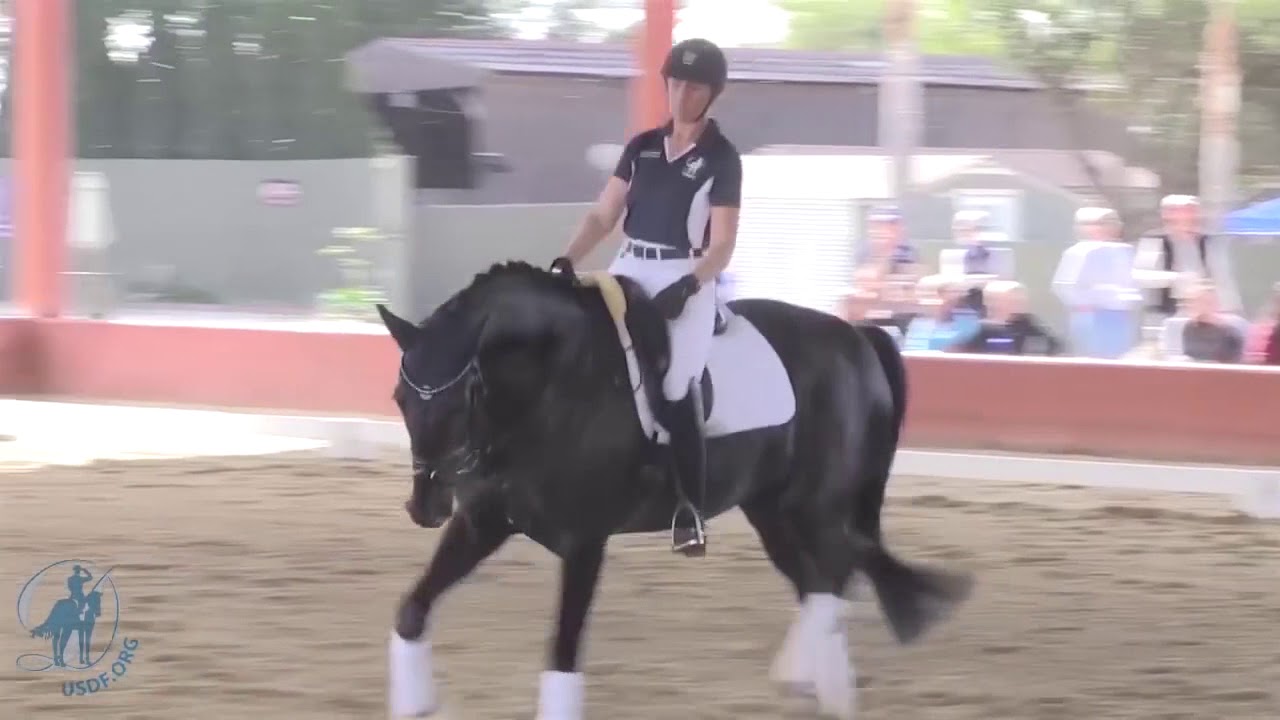 Developing a Good Stretch at the Trot