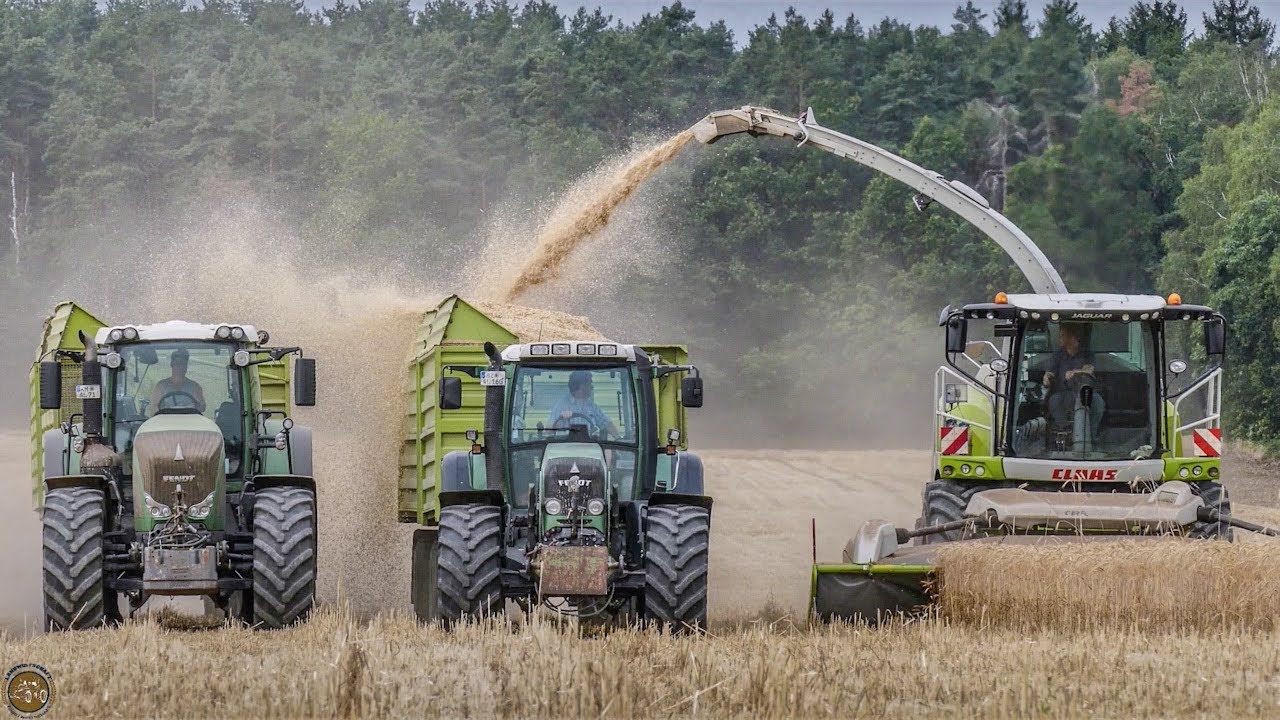 GPS Ernte - H&auml;ckseln / Claas Jaguar 950 - Fendt Traktoren im Einsatz