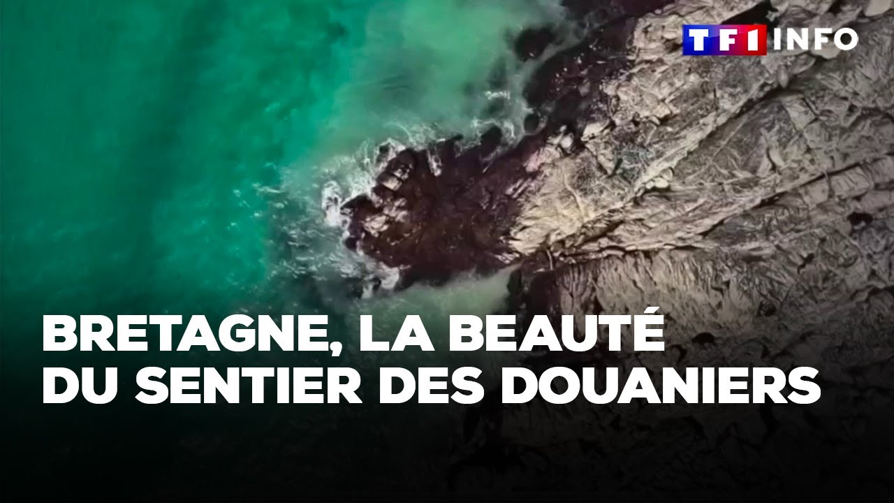 Bretagne, la beauté du sentier des douaniers｜TF1 INFO