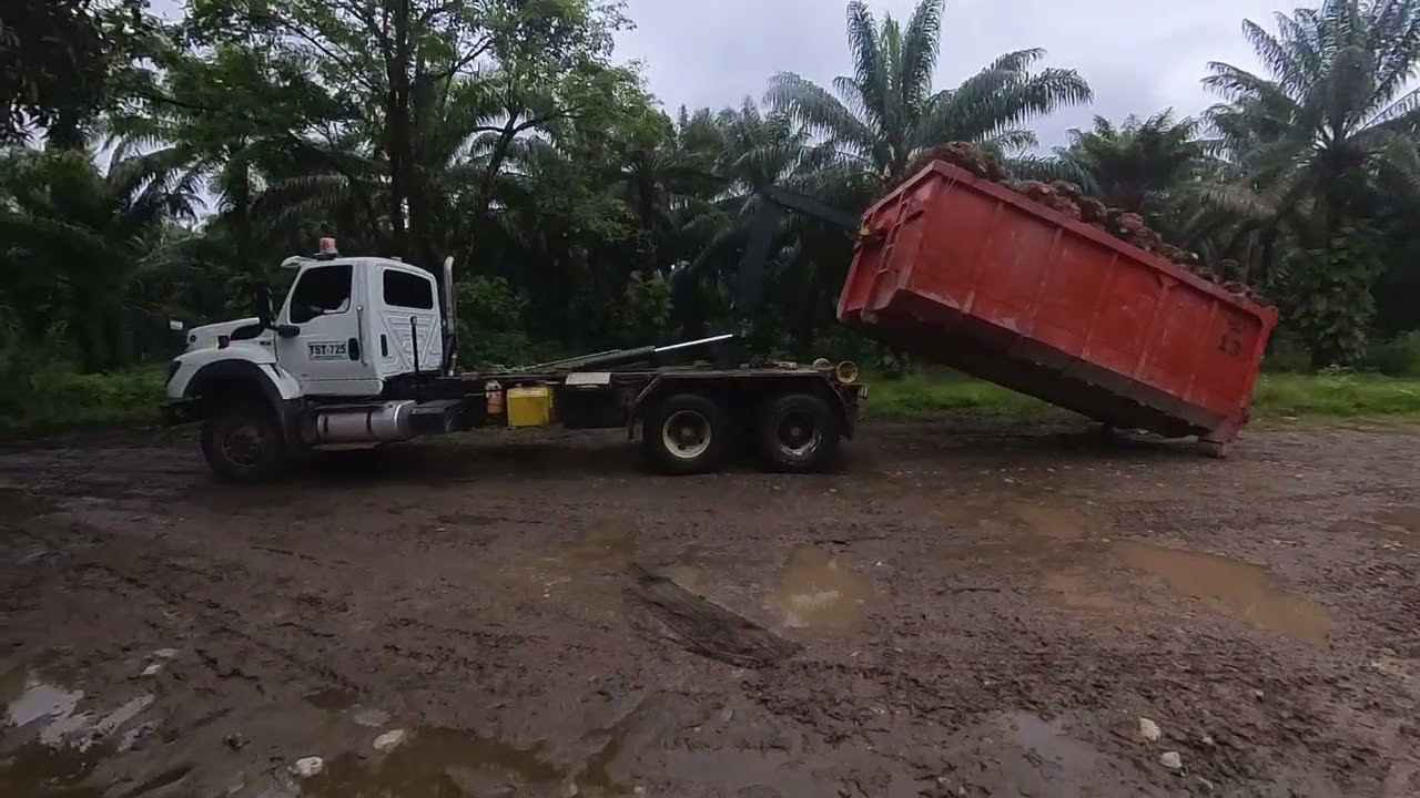 recoger el volco cargado de pepa de palma asi se hace