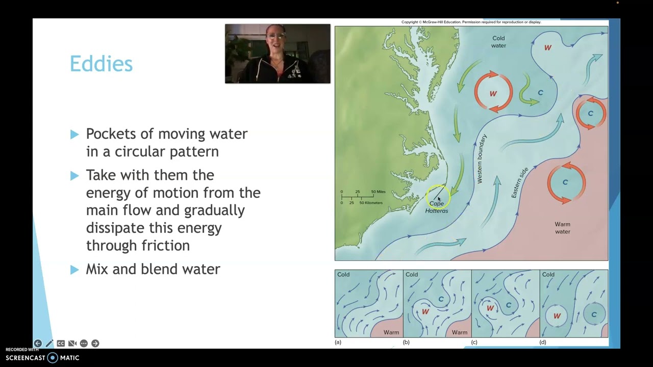 Upwelling / Downwelling, Smaller Surface Circulations
