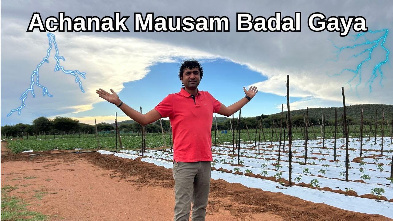 आज मौसम बेईमान हो गया⛈️| घर पर खाया सीजन पेहला तरबूज 🍉| Africa 🌱
