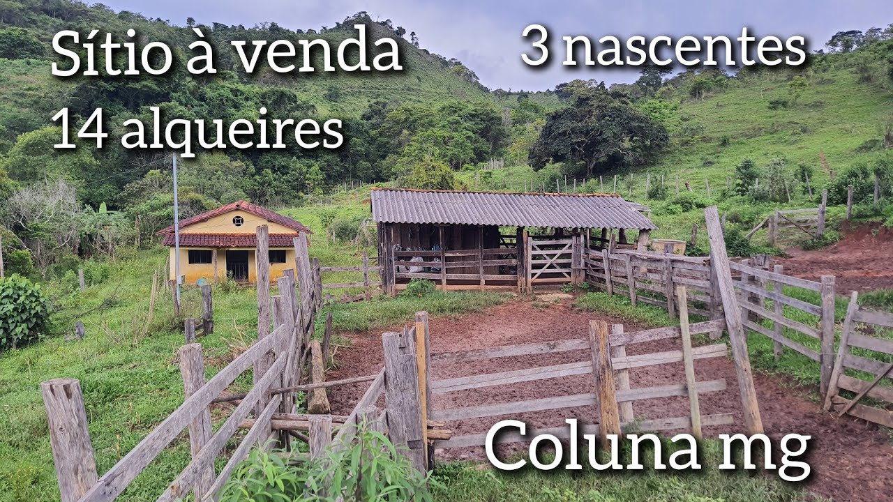 PROPRIEDADE / SÍTIO DE 67.76 HECTARES À VENDA , COM 3 NASCENTES DE ÁGUA , EM COLUNA MG ( ROÇA)