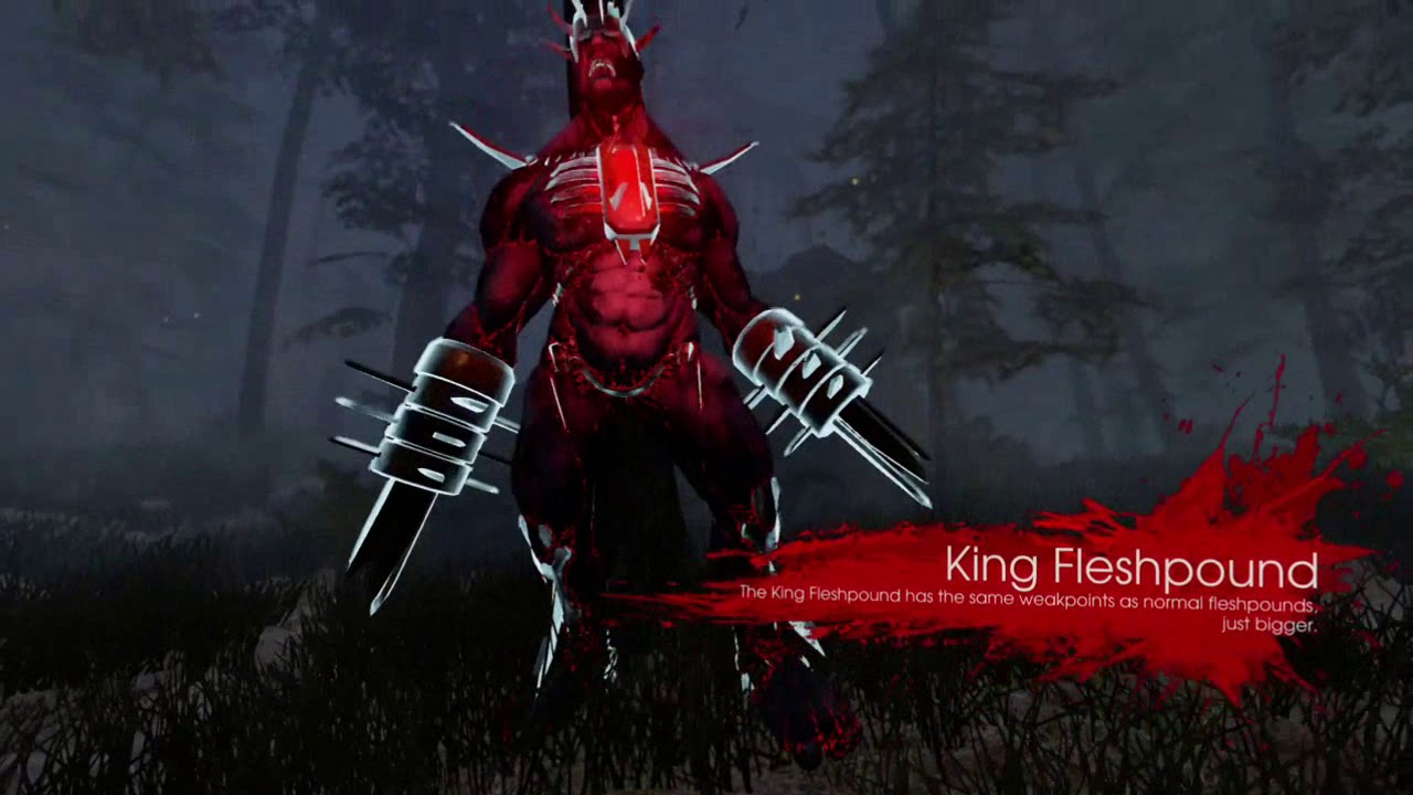 Killing floor 2 sucks
