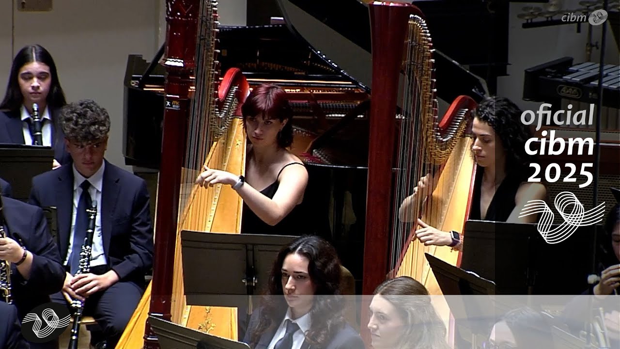 2025 SECCIÓN HONOR | Sociedad Unión Musical de Almansa - A Day in València