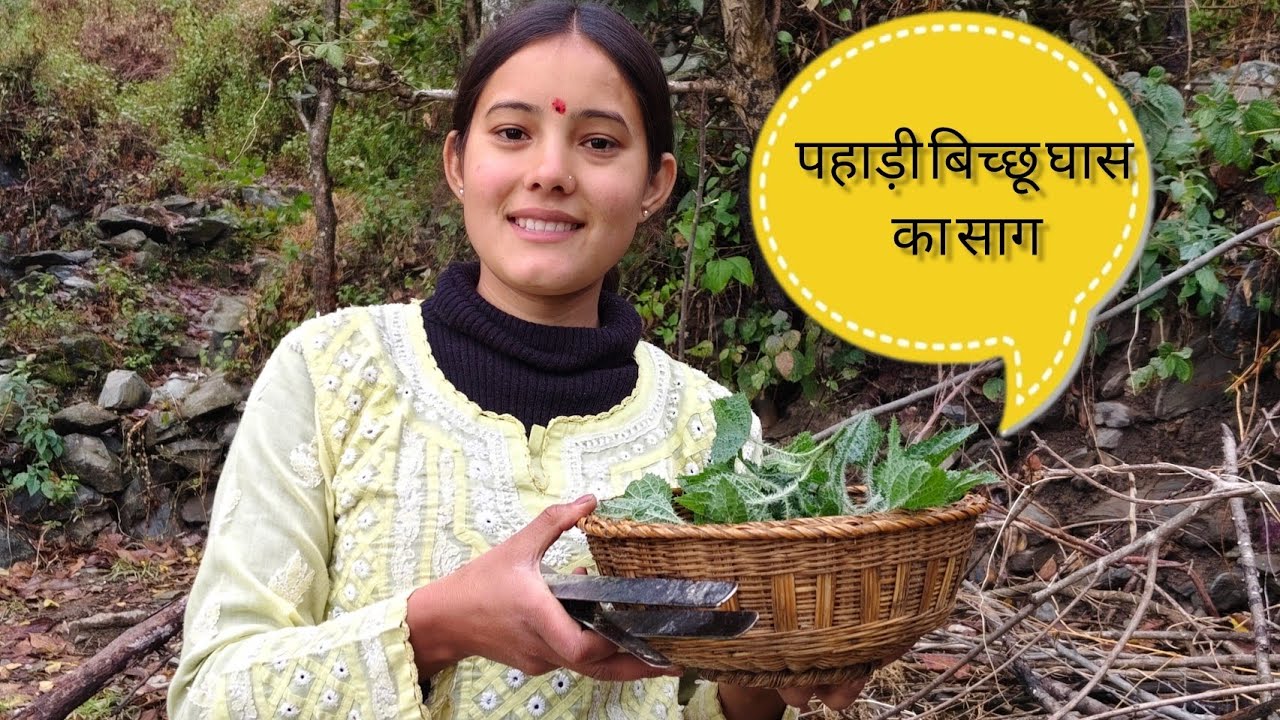 स्वादिष्ट पहाड़ी बिच्छू घास का साग😋❤️|Lucky rawat vlogs|pahadi lifestyle vlog|
